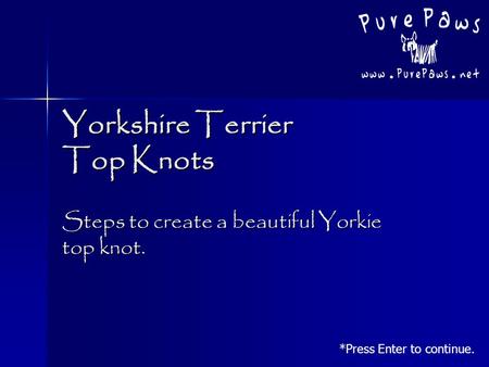 Yorkshire Terrier Top Knots Steps to create a beautiful Yorkie top knot. *Press Enter to continue.