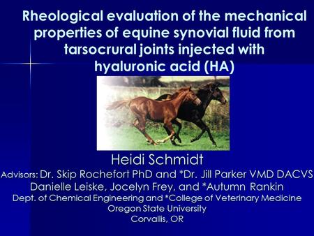 Rheological evaluation of the mechanical properties of equine synovial fluid from tarsocrural joints injected with hyaluronic acid (HA) Heidi Schmidt Advisors: