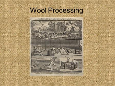 Wool Processing. Spinning with Clean Wool A. Wash Fleece Lithograph ca 1850.