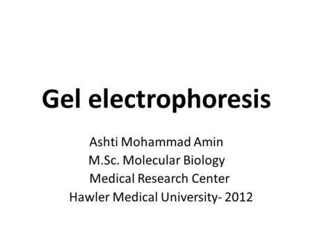Gel electrophoresis Ashti Mohammad Amin M.Sc. Molecular Biology Medical Research Center Hawler Medical University- 2012.
