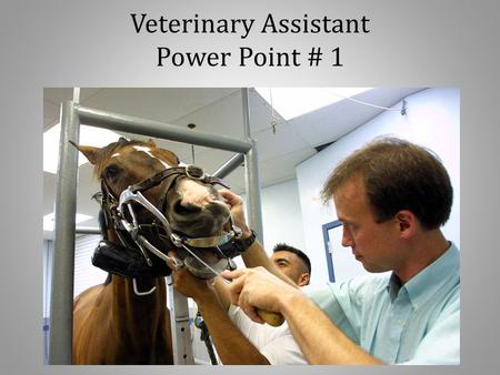 Veterinary Assistant Power Point # 1