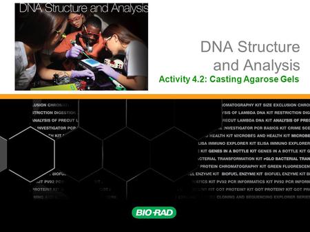 DNA Structure and Analysis Activity 4.2: Casting Agarose Gels.