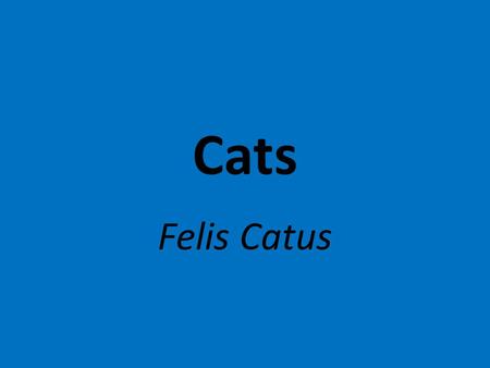 Cats Felis Catus History First cat appeared 35 million years ago. Cats were domesticated about 4000 years ago. Much later than dogs! This is probably.