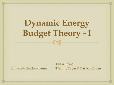  Dynamic Energy Budget Theory - I Tânia Sousa with contributions from :Tjalling Yager & Bas Kooijman.