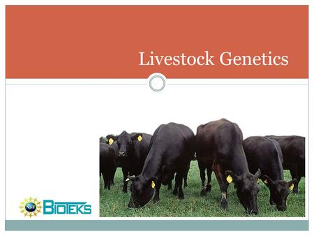 Livestock Genetics Do you want a footer?.