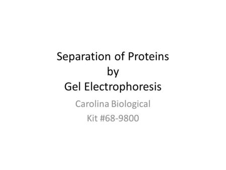 Separation of Proteins by Gel Electrophoresis Carolina Biological Kit #68-9800.
