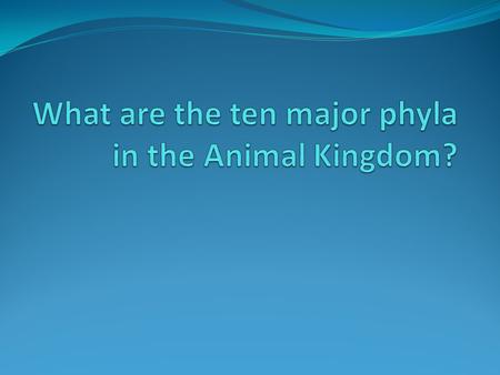 What are the ten major phyla in the Animal Kingdom?