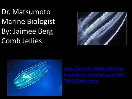 Dr. Matsumoto Marine Biologist By: Jaimee Berg Comb Jellies  m.pbworks.com/w/page/464 70916/Welcome.