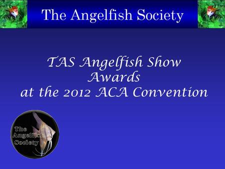 TAS Angelfish Show Awards at the 2012 ACA Convention.