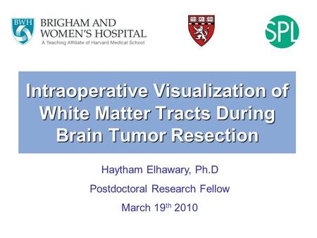 Intraoperative Visualization of White Matter Tracts During Brain Tumor Resection Haytham Elhawary, Ph.D Postdoctoral Research Fellow March 19 th 2010.