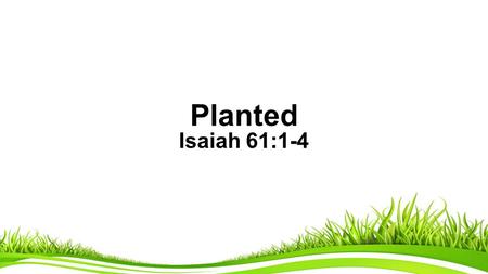 Planted Isaiah 61:1-4. Planted Isaiah 61:1-4 (pew bible Page 401) 1 The Spirit of the Sovereign L ORD is on me, because the L ORD has anointed me to proclaim.