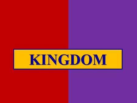 KINGDOM. KINGDOM CREATION – Genesis 1 & 2; Job 38:4-8 DOMINION - Genesis 1:26-28 FALL - Genesis 3:15 SPREAD OF SIN – Genesis 4-5 JUDGMENT-SALVATION –