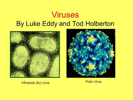 Viruses By Luke Eddy and Tod Holberton Polio Virus Influenza (flu) virus.