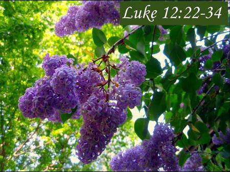 Luke 12:22-34. Luke 12:22 -23 Then Jesus said to his disciples: “Therefore I tell you, do not worry about your life, what you will eat; or about your.