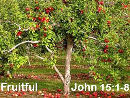Fruitful John 15:1-8. Purposes of Fruit trees Then God said, “Let the land produce vegetation: seed-bearing plants and trees on the land that bear fruit.