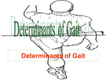 Determinants of Gait Determinants of Gait.