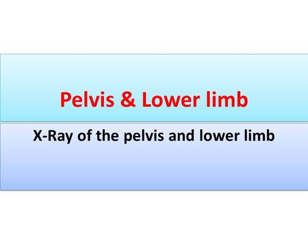 X-Ray of the pelvis and lower limb