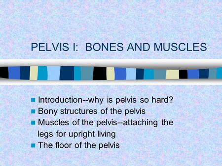 PELVIS I: BONES AND MUSCLES