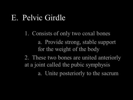 E. Pelvic Girdle 1. Consists of only two coxal bones a. Provide strong, stable support for the weight of the body 2. These two bones are united anteriorly.