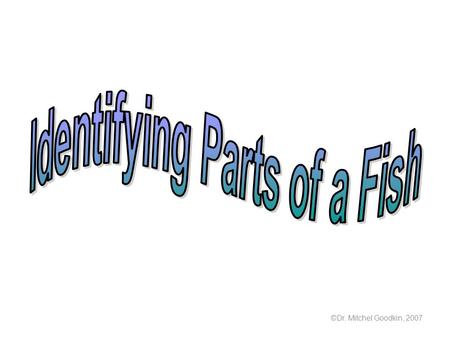 ©Dr. Mitchel Goodkin, 2007. Draw and label the parts of a fish.