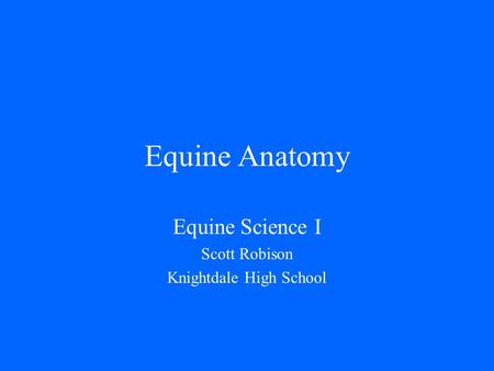 Equine Anatomy Equine Science I Scott Robison Knightdale High School.