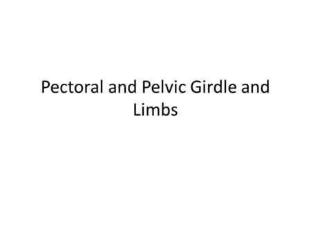 Pectoral and Pelvic Girdle and Limbs. Pectoral Girdle Includes 2 clavicles & 2 scapula Forms incomplete ring Provides attachment for muscles that move.