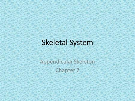 Skeletal System Appendicular Skeleton Chapter 7. Right Pectoral (Shoulder) Girdle.