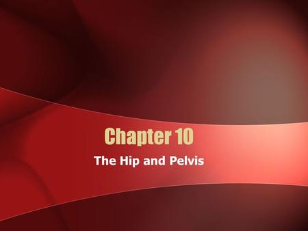 Chapter 10 The Hip and Pelvis.