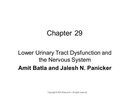 1 Copyright © 2014 Elsevier Inc. All rights reserved. Chapter 29 Lower Urinary Tract Dysfunction and the Nervous System Amit Batla and Jalesh N. Panicker.