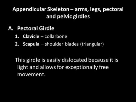 Appendicular Skeleton – arms, legs, pectoral and pelvic girdles A.Pectoral Girdle 1.Clavicle – collarbone 2.Scapula – shoulder blades (triangular) This.
