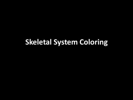 Skeletal System Coloring