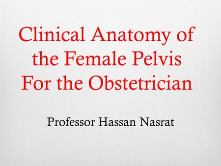 Clinical Anatomy of the Female Pelvis For the Obstetrician