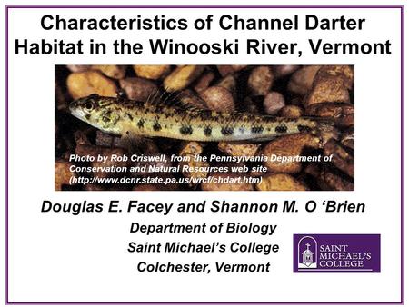 Characteristics of Channel Darter Habitat in the Winooski River, Vermont Douglas E. Facey and Shannon M. O ‘Brien Department of Biology Saint Michael’s.
