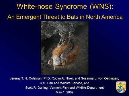 White-nose Syndrome (WNS): An Emergent Threat to Bats in North America Jeremy T. H. Coleman, PhD, Robyn A. Niver, and Susanna L. von Oettingen, U.S. Fish.