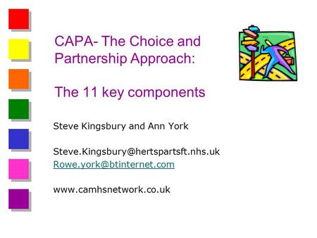 CAPA- The Choice and Partnership Approach: The 11 key components Steve Kingsbury and Ann York