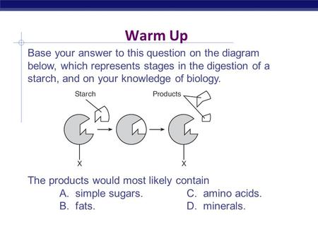 Warm Up Base your answer to this question on the diagram below, which represents stages in the digestion of a starch, and on your knowledge of biology.