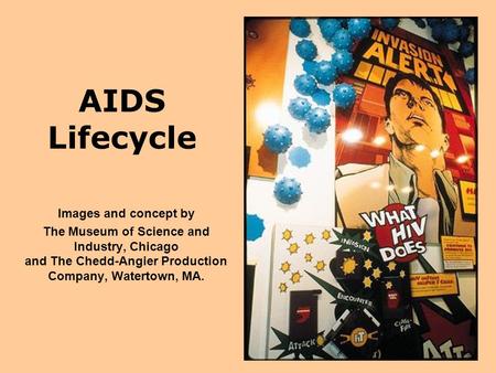 AIDS Lifecycle Images and concept by The Museum of Science and Industry, Chicago and The Chedd-Angier Production Company, Watertown, MA.