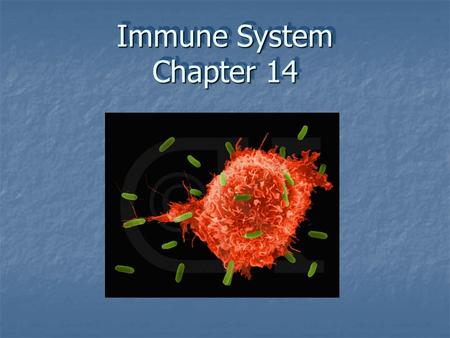 Immune System Chapter 14.