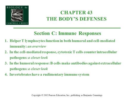 CHAPTER 43 THE BODY’S DEFENSES Copyright © 2002 Pearson Education, Inc., publishing as Benjamin Cummings Section C: Immune Responses 1.Helper T lymphocytes.