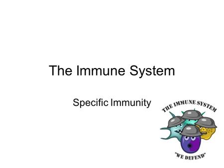 The Immune System Specific Immunity. What You Should Know Immune surveillance A range of white blood cells constantly circulate monitoring the tissues.