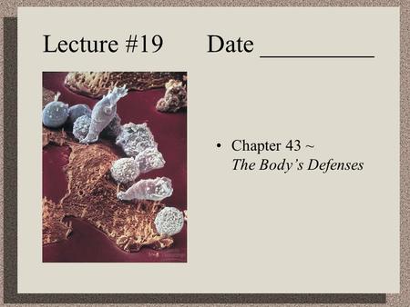 Lecture #19 Date _________
