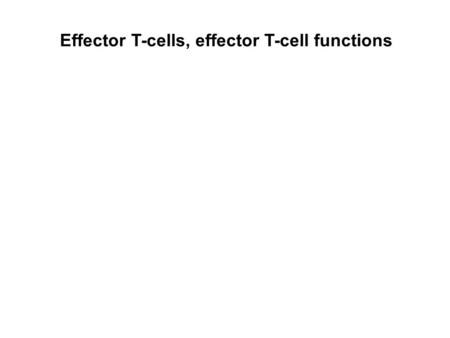 Effector T-cells, effector T-cell functions. Activation of effector T-cells is less dependent on co-receptor signaling Naive or „resting” T cells… relentless.