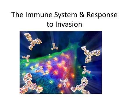The Immune System & Response to Invasion IB Learning Objective Describe the process of blood clotting Copyright Pearson Prentice Hall.