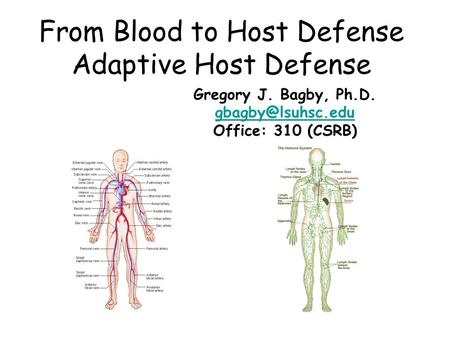From Blood to Host Defense Adaptive Host Defense Gregory J. Bagby, Ph.D. Office: 310 (CSRB)