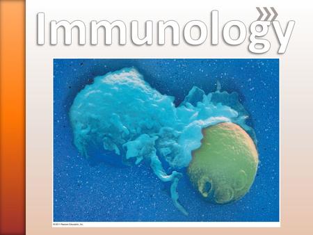 VariolationLady Montagu Edward JennerSmallpox Pathogens (such as bacteria, fungi, and viruses) INNATE IMMUNITY (all animals) Rapid response Recognition.