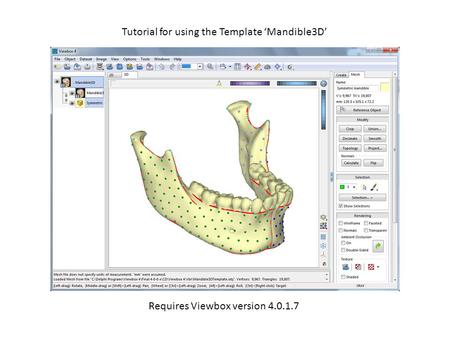 Tutorial for using the Template ‘Mandible3D’ Requires Viewbox version 4.0.1.7.