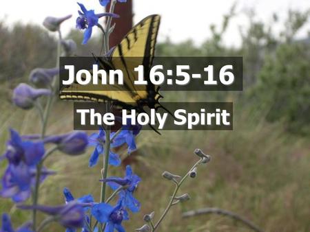 John 16:5-16 The Holy Spirit.  A person Who is the Holy Spirit? But the Helper, the Holy Spirit, whom the Father will send in My name, He will teach.