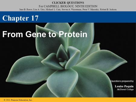 From Gene to Protein Chapter 17 Louise Paquin McDaniel College