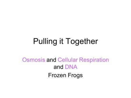 Pulling it Together Osmosis and Cellular Respiration and DNA Frozen Frogs.