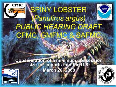 SPINY LOBSTER (Panulirus argus) PUBLIC HEARING DRAFT CFMC, GMFMC & SAFMC Consideration of a minimum possession size for imports into the U.S. March 26,